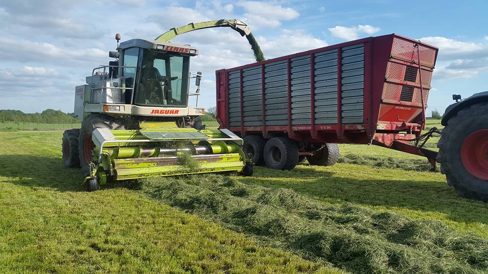 18557040_170337956831526_3911589482760215482_n